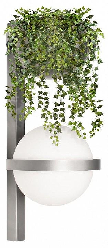 Бра Loft it Jard1n 10121W/B Dark grey 