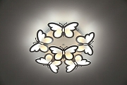 Накладной светильник Escada Butterfly 10205/5LED цвет плафона/подвески Белый, цвет арматуры Белый-3