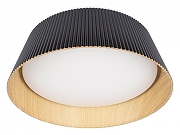 Накладной светильник Loft it Evans 10224 Black цвет плафона/подвески Белый, Коричневый, Черный, цвет арматуры Черный-1