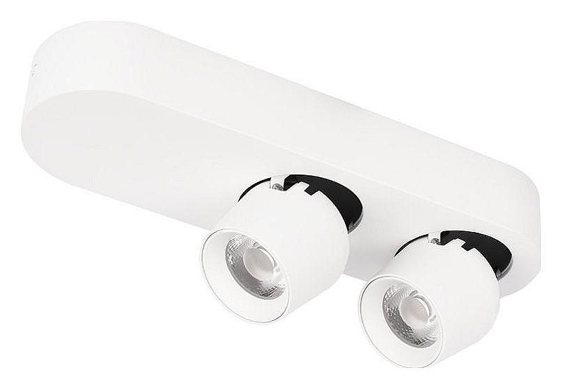 Накладной светильник Loft it Quiet 10320/2 White 