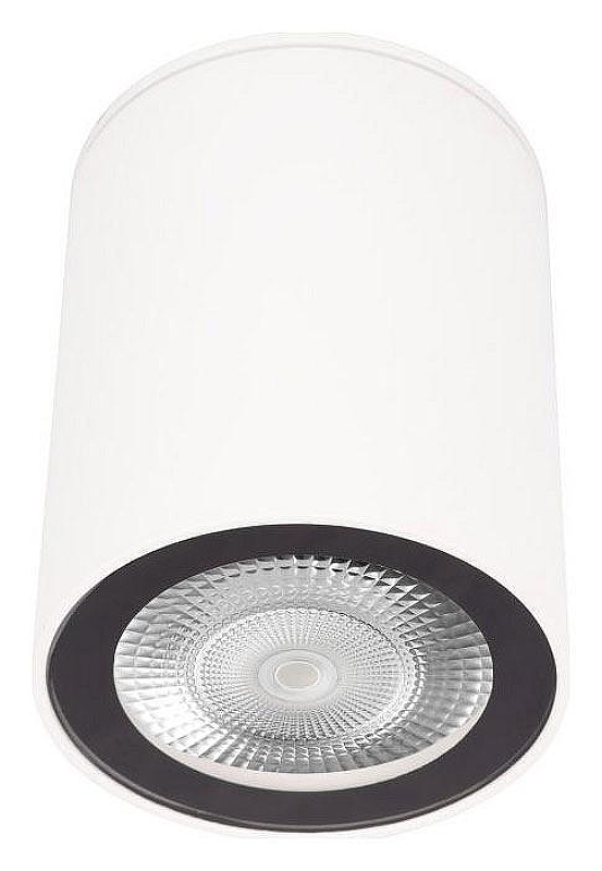 Накладной светильник Loft it Rush 10344 White 