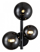 Бра Indigo Molecola 11018/3W Black цвет плафона/подвески Дымчатый, цвет арматуры Черный-1