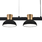 Подвесной светильник Indigo Traforo 11059/5PL Black цвет плафона/подвески Черный, цвет арматуры Золото, Черный-5