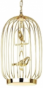 Подвесной светильник Favourite Chick 1928-2P цвет плафона/подвески Золото, цвет арматуры Золото