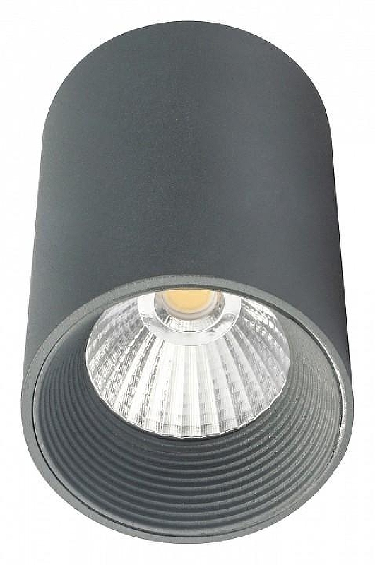 Накладной светильник Escada 20003 20003SMU/01LED SGY 