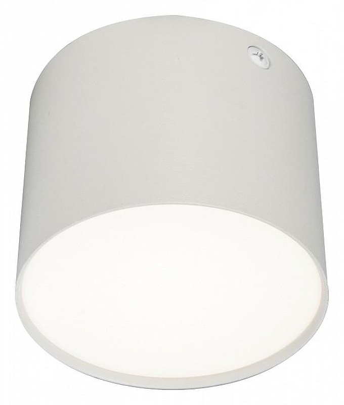 Накладной светильник Escada 20004 20004SMU/01LED SWH 