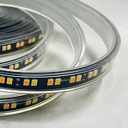 Светодиодная лента Favourite 2001-62020 IP 20