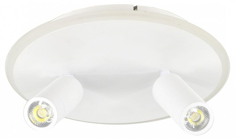 Светильник на штанге Escada 20046LED 20046SMA/02LED WH 