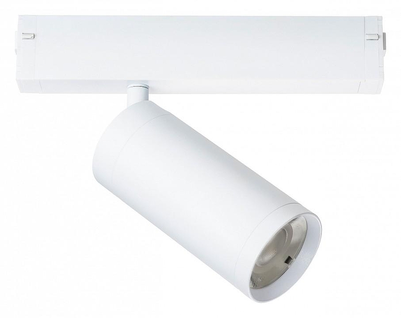 Светильник на штанге Lightstar Teta 205036 