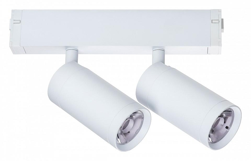 Светильник на штанге Lightstar Teta 205506 