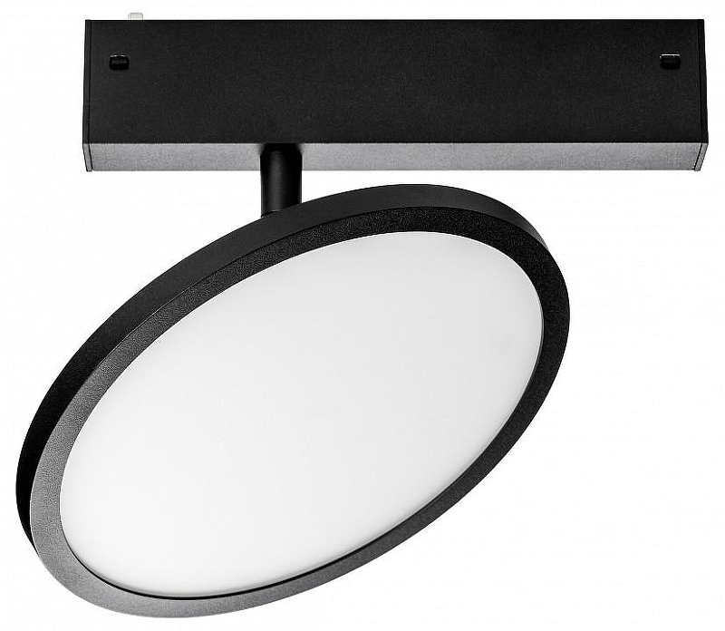 Светильник на штанге Lightstar Teta 205707 