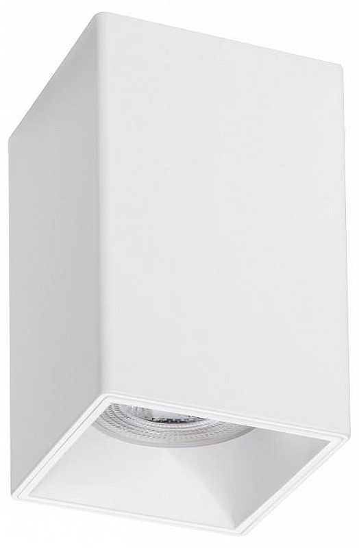 Накладной светильник Lightstar Rullo 213336 