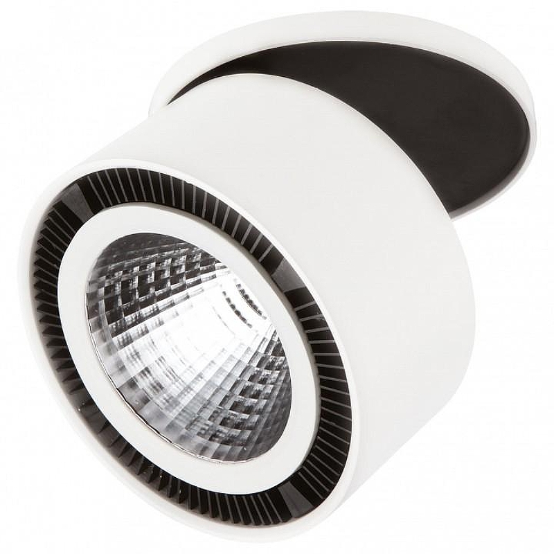 Спот Lightstar Forte 1nca 213806 