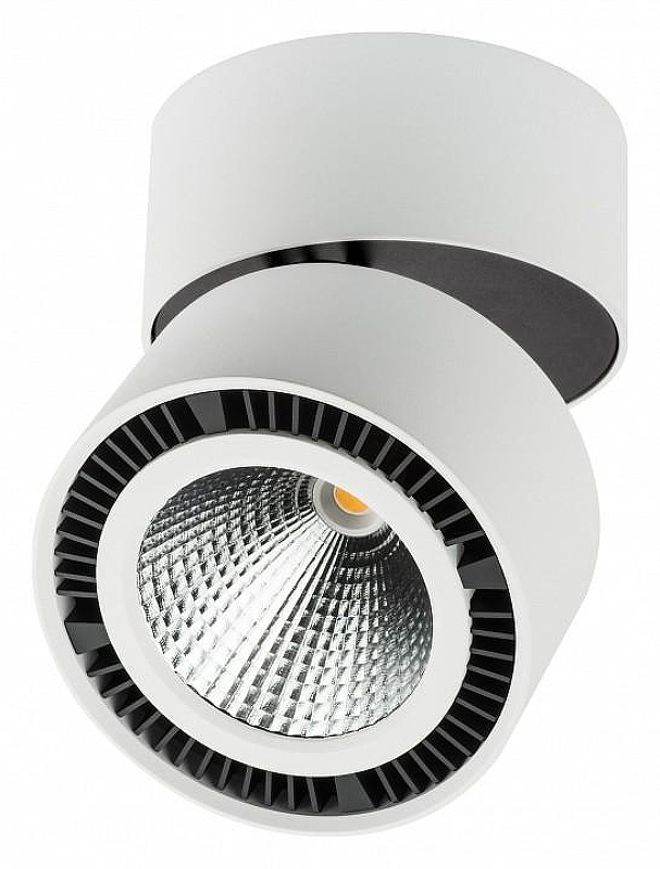 Накладной светильник Lightstar Forte Muro 213830 