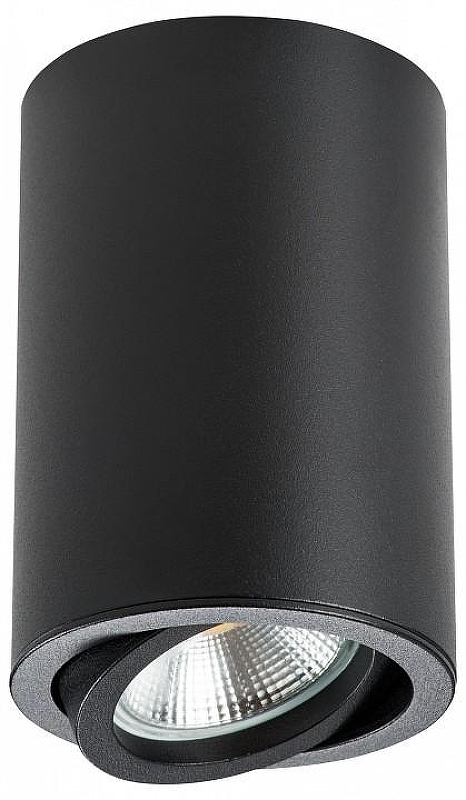 Накладной светильник Lightstar Rullo 214407 