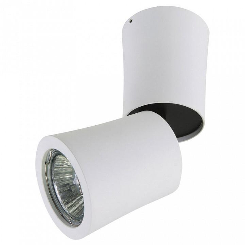 Накладной светильник Lightstar Rotonda 214456 