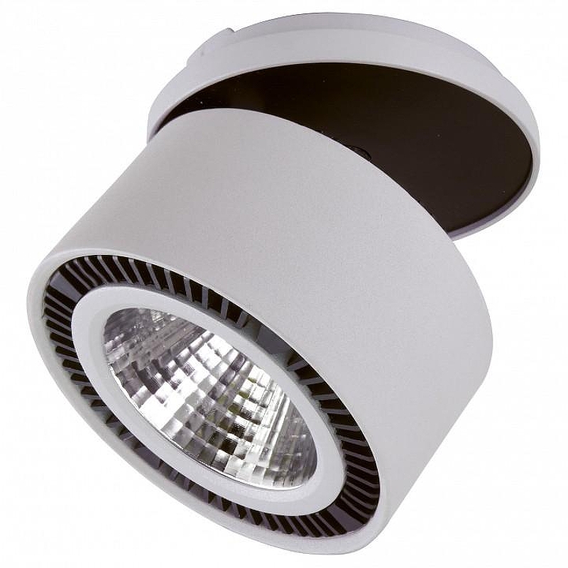 Спот Lightstar Forte 1nca 214829 