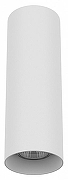 Накладной светильник Lightstar Rullo 216496 цвет плафона/подвески Белый, цвет арматуры Белый