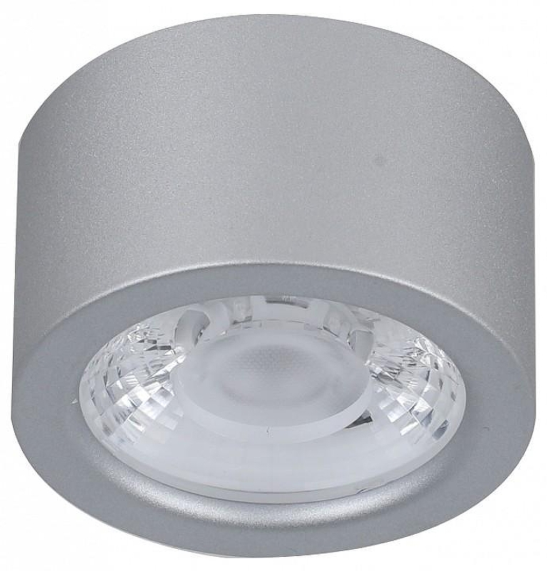 Накладной светильник Favourite Deorsum 2808-1U 