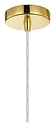 Подвесной светильник Favourite Aesthetic 2820-1P цвет плафона/подвески Прозрачный, цвет арматуры Золото-5