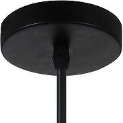 Подвесной светильник Favourite Rocky 2832-1P цвет плафона/подвески Черный, цвет арматуры Черный-4