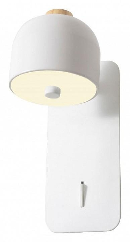 Бра Favourite Mauris 2834-1W 