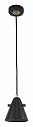 Подвесной светильник F-promo Rigor 2844-1P цвет плафона/подвески Черный, цвет арматуры Черный-1