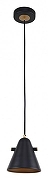 Подвесной светильник F-promo Rigor 2844-1P цвет плафона/подвески Черный, цвет арматуры Черный-2