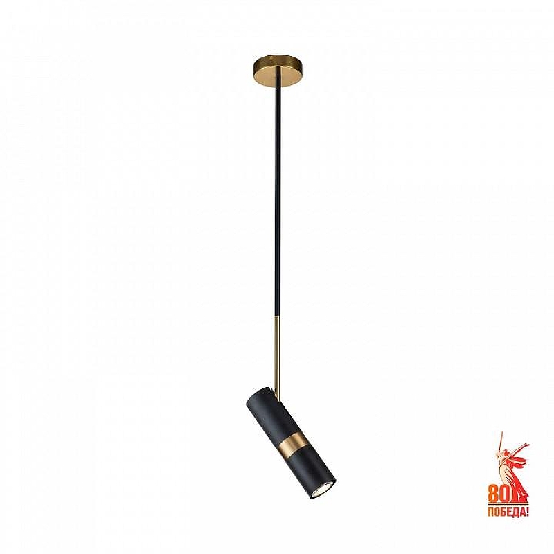 Светильник на штанге Favourite Light point 2997-1P 