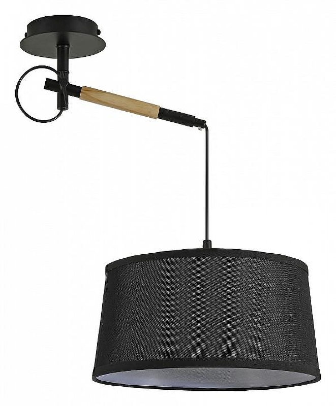 Светильник на штанге F-promo Eureka 3006-1P 