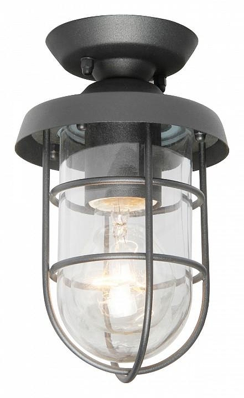 Накладной светильник Favourite Pointer 3021-1P 