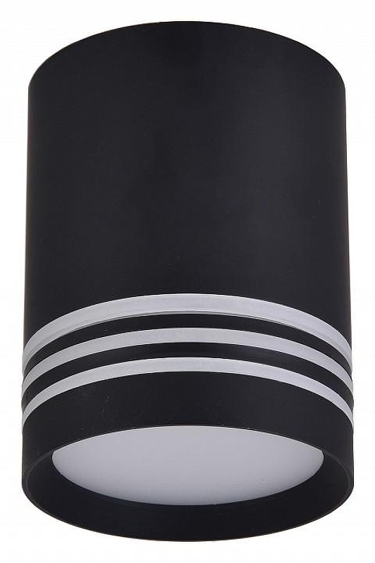 Накладной светильник Favourite Darar 3066-1C 