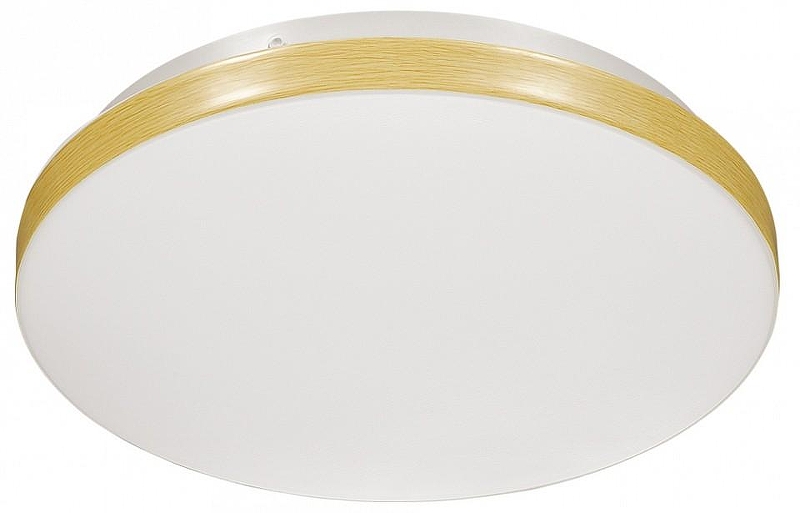 Накладной светильник Sonex Smalli 3066/CL 