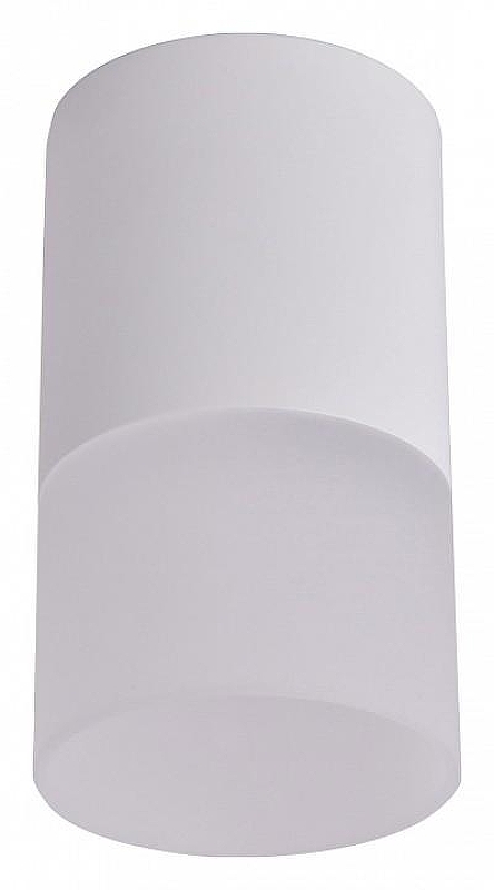 Накладной светильник Favourite Naram 3069-1C 