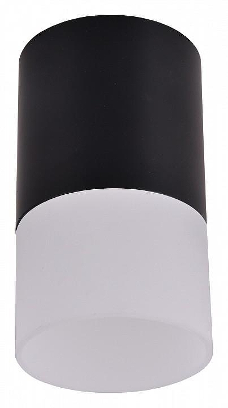 Накладной светильник Favourite Naram 3070-1C 