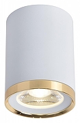 Накладной светильник Favourite Prakash 3085-1C цвет плафона/подвески Белый, Золото, цвет арматуры Белый-1