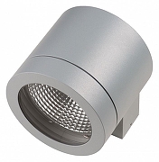 Накладной светильник Lightstar Paro 350619 цвет плафона/подвески Серый, цвет арматуры Серый