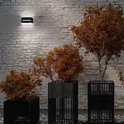 Накладной светильник Novotech Stra1t 359196 цвет плафона/подвески Белый, Черный, цвет арматуры Черный-2