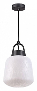 Подвесной светильник Novotech Conte 370601 цвет плафона/подвески Белый, цвет арматуры Черный-1