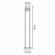Ландшафтный светильник Lightstar Ragg1o 376707 цвет плафона/подвески Прозрачный, цвет арматуры Черный-1