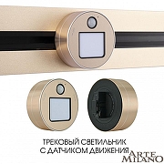 Накладной светильник Arte Milano Am-track-sockets 380011TLS/LWS Gold цвет золото-4