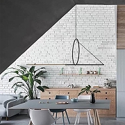 Подвесной светильник Imperiumloft Suspens1on Cercle Et Tra1t – Graph1te Sat1ne 40.1282-0 цвет плафона/подвески Белый, цвет арматуры Черный-4