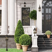 Накладной светильник Odeon Light Sat1on 4045/1C цвет черный-3