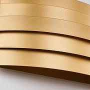 Накладной светильник Favourite Tantas 4121-2W цвет плафона/подвески Золото, цвет арматуры Золото-3