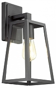 Светильник на штанге Odeon Light Clod 4169/1W цвет черный