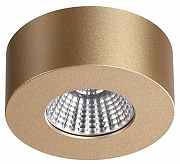 Накладной светильник Odeon Light Bene 4284/7CL цвет золотой
