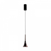 Подвесной светильник Favourite Tolva 4292-1P цвет плафона/подвески Золото, цвет арматуры Черный-1