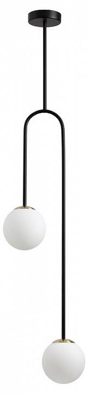 Светильник на штанге Odeon Light Amb1 4340/2 