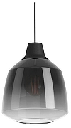Подвесной светильник Eglo Sedbergh 43821 цвет плафона/подвески Светло-серый, цвет арматуры Черный