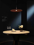 Подвесной светильник Favourite Lars 4412-1P цвет плафона/подвески Серый, цвет арматуры Черный-2